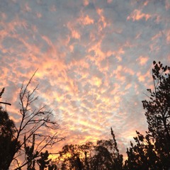 Nothing That I Do To You - Tui (Balga 2015)