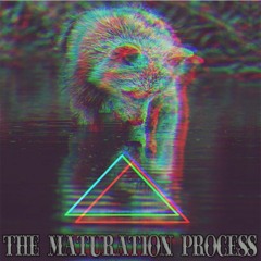 Don't Blink (No Entertainer)|2016