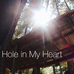 Hole in My Heart (Gavin James Cover)