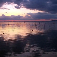 I'm Going to Go Back There Someday [Rough]