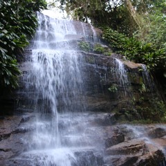 Medellín - Vasija de Barro