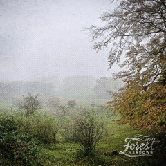 iamforest - Meadows EP - Underground