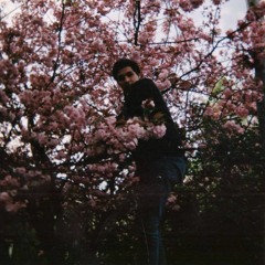 Toto Boroto & the Wild Flowers - Moon Dance