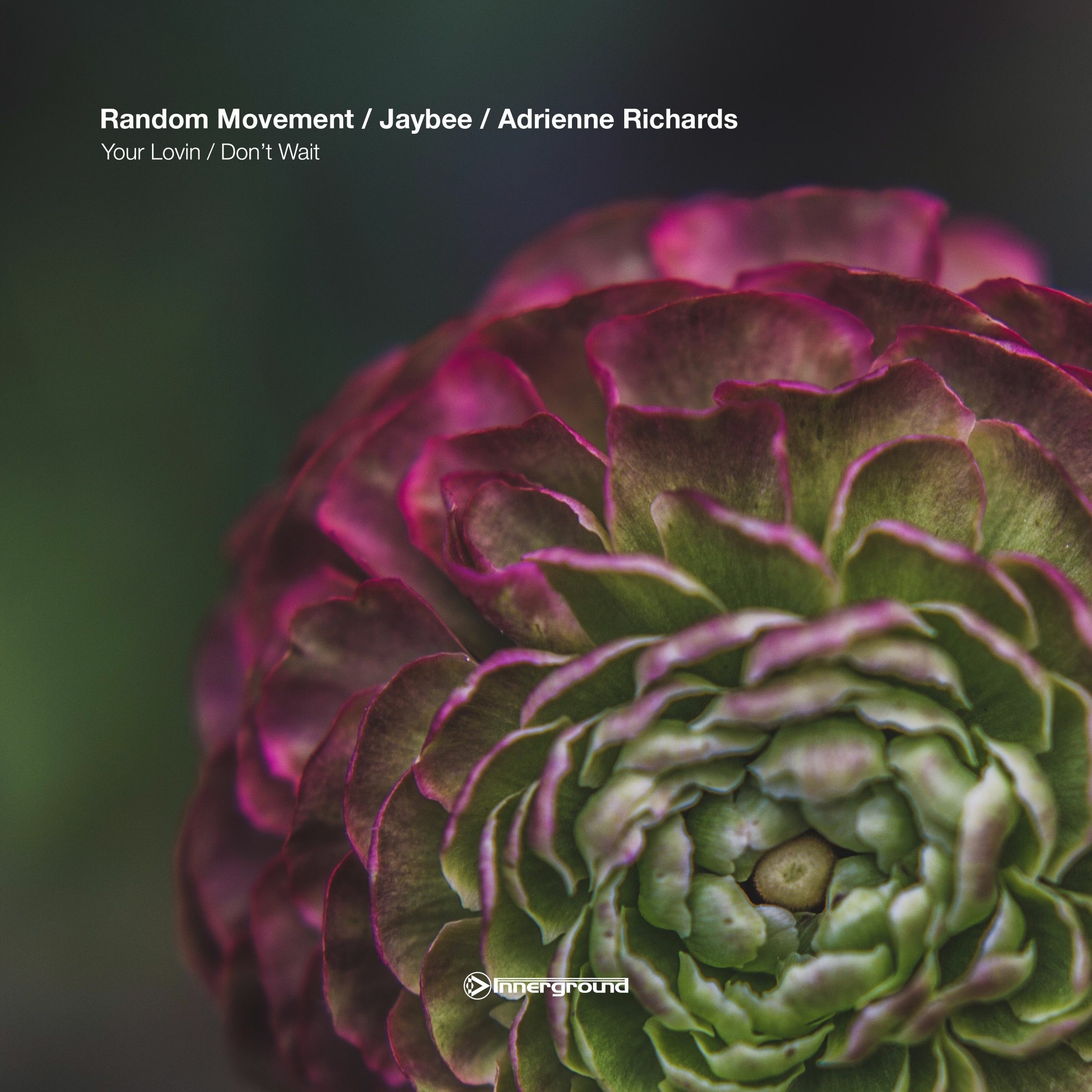 Random Movement - Don't Wait feat. Adrienne Richards episode artwork