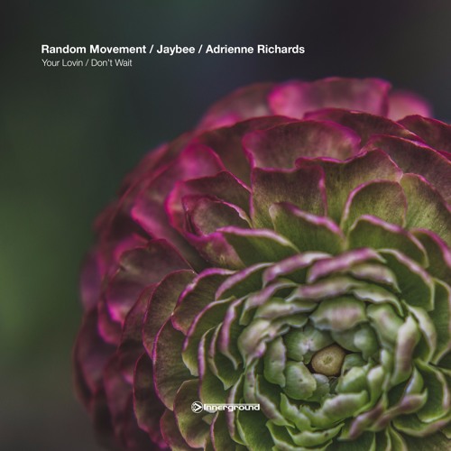 Random Movement - Don't Wait feat. Adrienne Richards