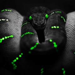 2016 GAMING TUNES (Electro/Trap/House/DnB/EDM/HYPE)