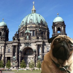 Berlin Pug Scene