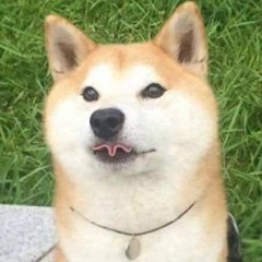Acidcore/Mental