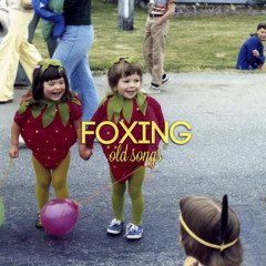 Foxing - Sunspotting