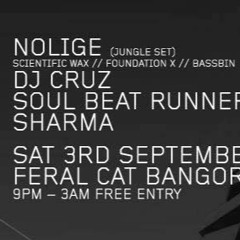 Soul Beat Runner At Enter The Jungle September 2016 (First 45 Mins)