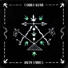 PRÉMIÈRE: Von Party ft. Naduve - Cobra Kush (Peter Power Remix) [Multi Culti]