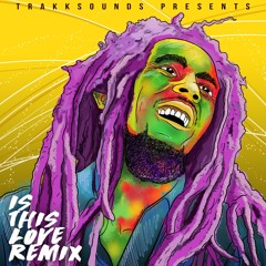 Is This Love - Bob Marley (TrakkSounds Remix)