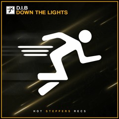 D.I.B - Down The Lights [Hot Steppers Release]