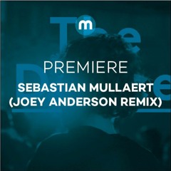 Premiere: Sebastain Mullaert 'Movement' Joey Anderson Rmx