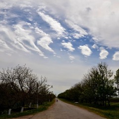 Дороги