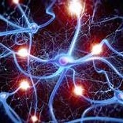 Serotonin Rush-september 2016