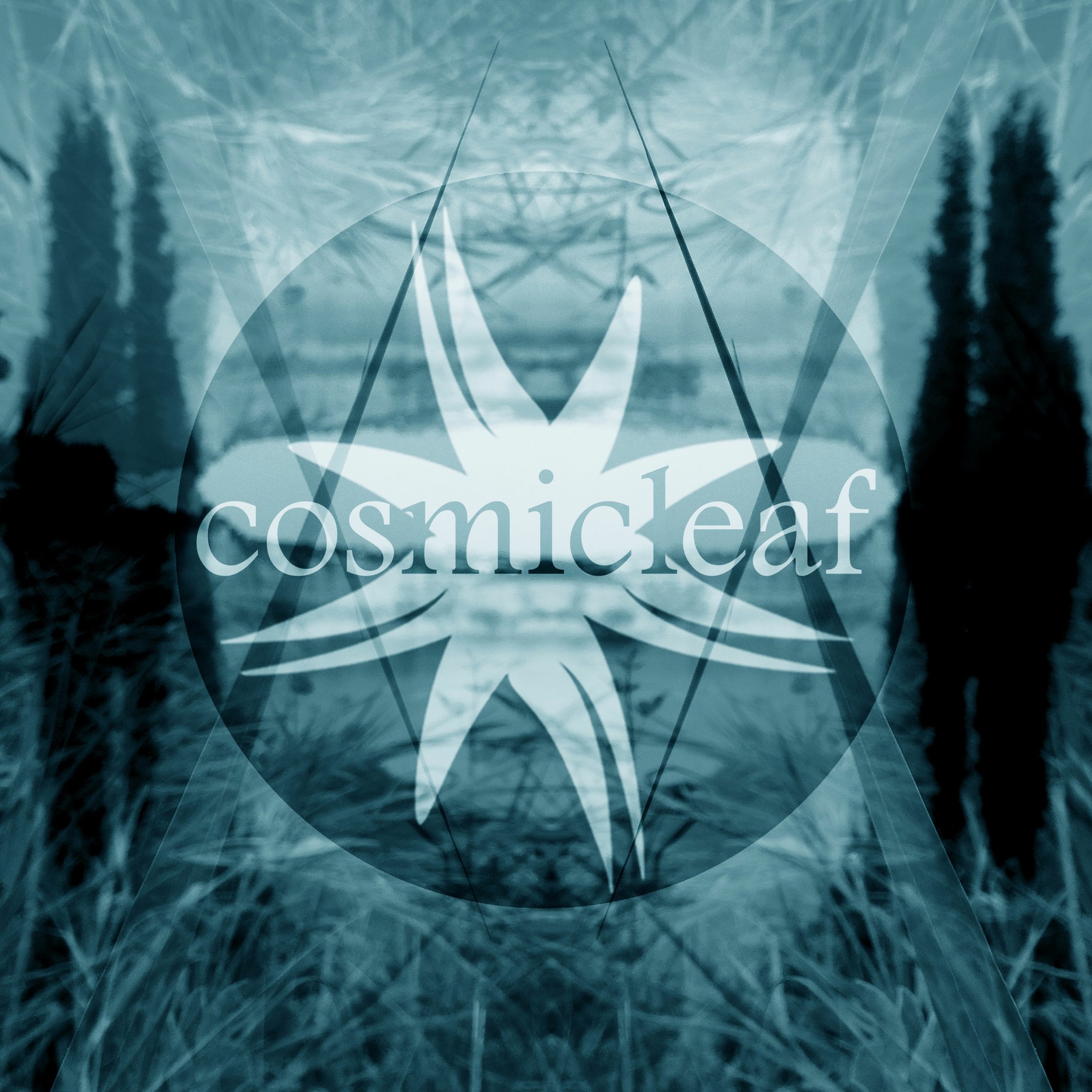 Side Liner (#downtempo) Renil Edis (#techno)