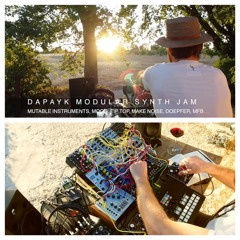 Dapayk Solo "Modular Synth Jam Nerdsession Provence" (Video on Youtube)