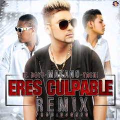 Eres Culpable Remix