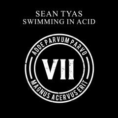 Sean Tyas - Swimming In Acid