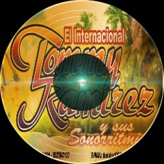 Tommy Ramírez y sus Sonorritmicos/cariño si te vas