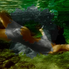 Clément Bazin - Aloe