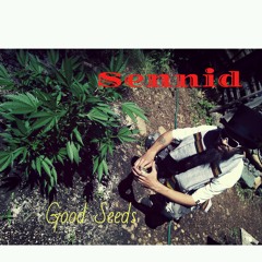 Sennid - Good Seeds .mp3
