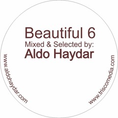 Aldo Haydar / Beautiful 6