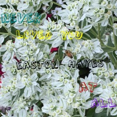 Never Loved You At All