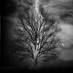 Mee Shell - ThunderStorm 4