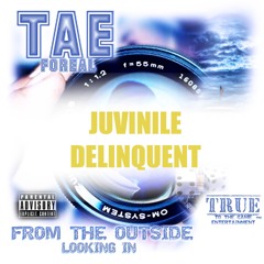 Juvinile Delinquent (all gas no hook)