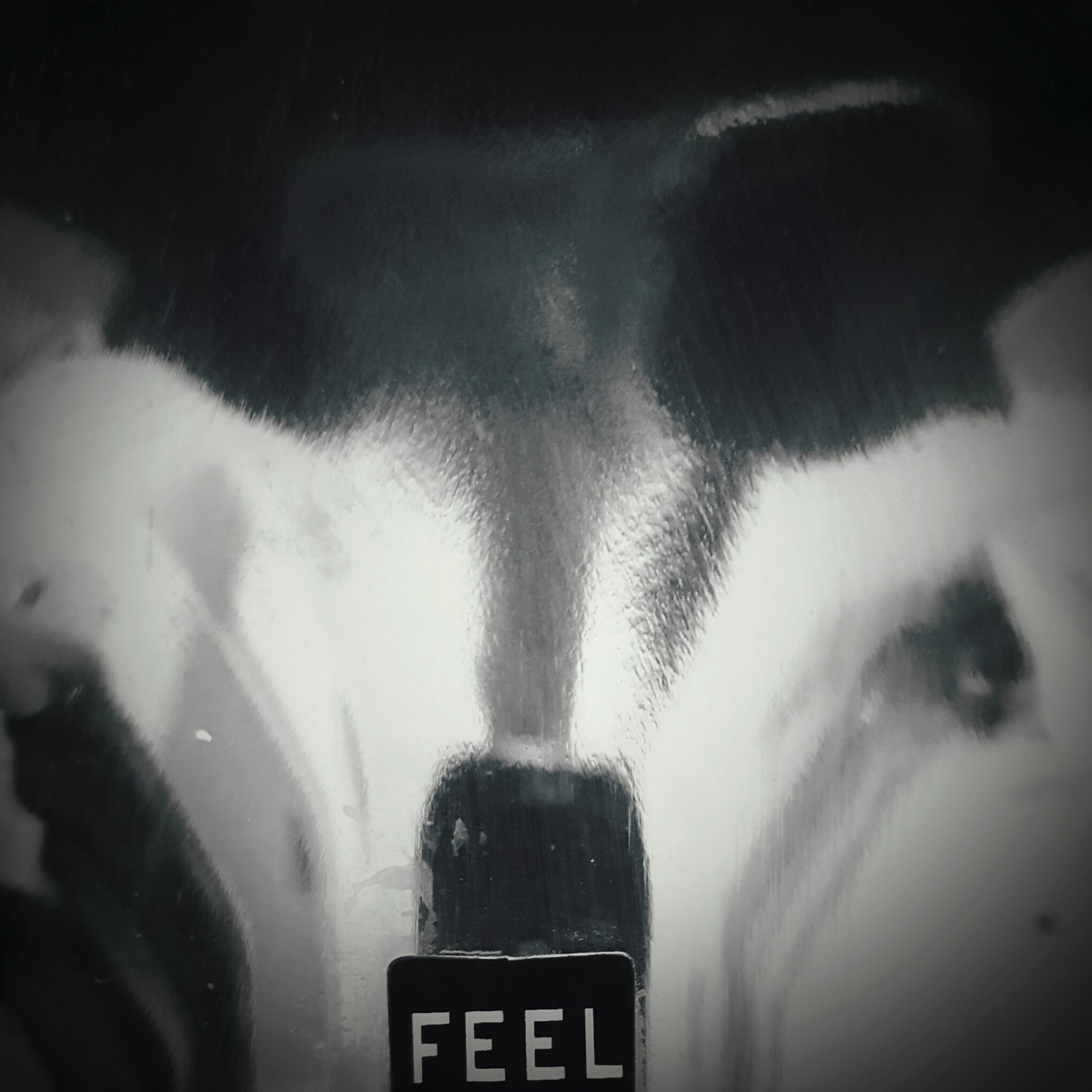 Feel episode artwork