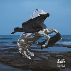 What So Not - Divide & Conquer EP