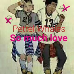 Petrel Whales__So Much Lov.prod by apple.mp3