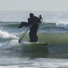 surf curse