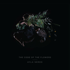 Ayla Nereo - Seeds