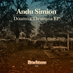 BRT008 Andu Simion - Look On The Dark Side Of Life