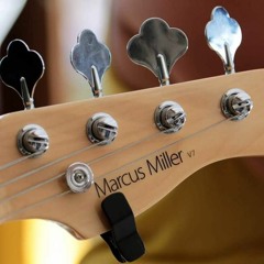 Loui Cover By Four Shades of Blues Sire V7 Bass