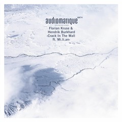 Florian Kruse & Hendrik Burkhard - Crack In The Wall (Original Mix) [Audiomatique] [MI4L.com]