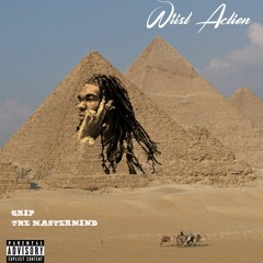 Wrist Action (Chec out my wrist)