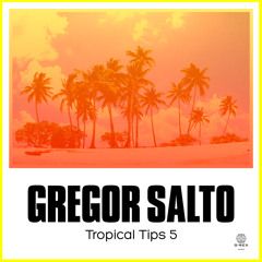 Tropical Tips 5 Album Mix (Gregor Salto Continuous DJ Mix)