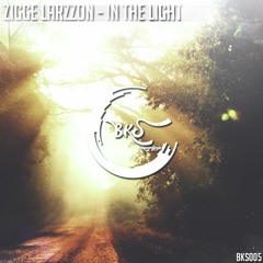 Zigge Larzzon - In The Light ( Original Mix)*FREE DOWNLOAD*