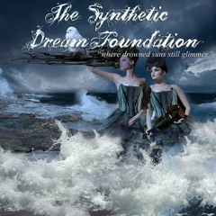 The Synthetic Dream Foundation - Not of myself