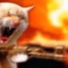 JG ASSAULT ON CAT COLONY RAID 5 - GIFT OF THE GODS