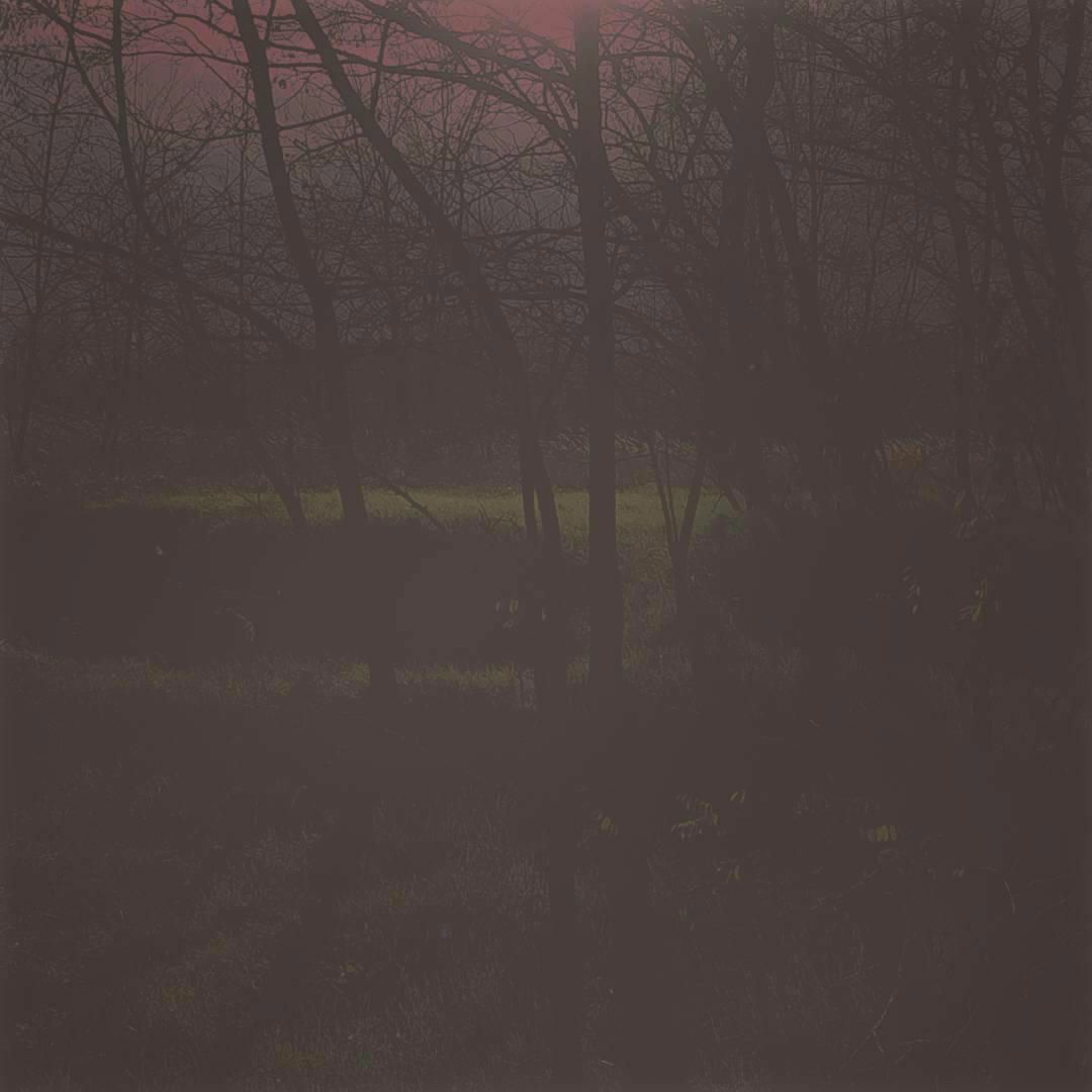 Vlimmer - Rippenstiche episode artwork