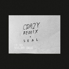 Tusk: 'Crazy' Remix (Seal)