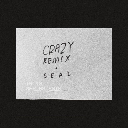 Tusk: 'Crazy' Remix (Seal)