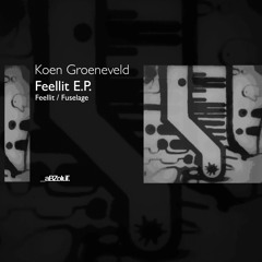 Koen Groeneveld - Feellit