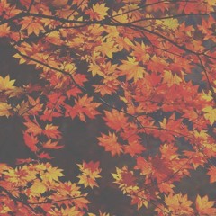 depart//autumn