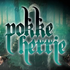 Little k @ Pokke Herrie (03.09.2016)